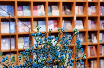 [☕️🇻🇳] Nhã Nam Books N’ Coffee 🥤 Top1Coffee ☕️ Chúc mừng năm mới  Chúc bạn có một năm xinh tươi như hoa, mỗi chặng đường đều thuận buồm xuôi gió, vạn sự như ý và viên mãn hạnh , shares-2✔️ , likes-30❤️️ , date-2024-02-11 06:45:49🇻🇳🇻🇳🇻🇳📰🆕