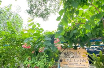 [☕️🇻🇳] KUMO CHAN Coffee and Garden 🥤 Top1Coffee ☕️ Nắng vàng, lá xanh, hoa đỏ, lồng đèn thắm đang đón chờ bạn ghé thăm sau những ngày lễ tết rộn rã.Bình yên 1 chút, … bình yên t , shares-0✔️ , likes-11❤️️ , date-2024-02-14 04:51:03🇻🇳🇻🇳🇻🇳📰🆕