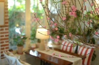 [☕️🇻🇳] PHD Book – Coffee 🥤 Top1Coffee ☕️ Hoa tàn rồi.
Mai 19.02.24 quán NGHỈ bạn nhé.
Cảm ơn!
, shares-0✔️ , likes-51❤️️ , date-2024-02-18 09:06:11🇻🇳🇻🇳🇻🇳📰🆕