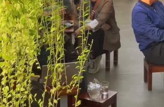 [☕️🇻🇳] Hello Coffee – Quán cà phê Internet Thành Phố Huế 🥤 Top1Coffee ☕️  , shares-0✔️ , likes-21❤️️ , date-2024-02-19 09:17:56🇻🇳🇻🇳🇻🇳📰🆕