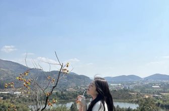 [☕️🇻🇳] Mê Linh Coffee Garden 🥤 Top1Coffee ☕️ 𝐌𝐞̂ 𝐋𝐢𝐧𝐡 𝐂𝐨𝐟𝐟𝐞𝐞 𝐆𝐚𝐫𝐝𝐞𝐧 đã nằm trọn trong list quán cà phê “ruột” tại Đà Lạt của bạn chưa???Một mét vuông 10 góc sống ảo, mỗi g , shares-6✔️ , likes-39❤️️ , date-2024-02-22 02:24:55🇻🇳🇻🇳🇻🇳📰🆕