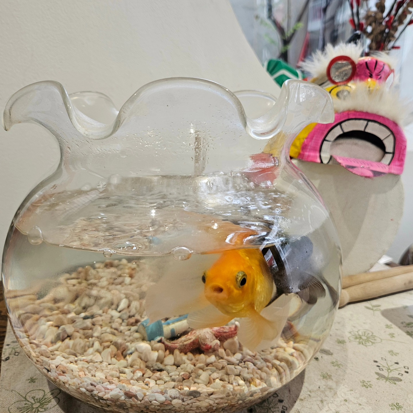 [☕️🇻🇳] Dear November Coffee 🥤 Top1Coffee ☕️ [Góc nhân viên dễ tính]
Nhà Dear được cái nuôi nhân viên mát tay, em nào em nấy trộm vía tròn trùng trục đáng iu hết lấc  Nhược  , shares-0✔️ , likes-22❤️️ , date-2024-02-20 11:33:27🇻🇳🇻🇳🇻🇳📰🆕