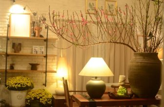 [☕️🇻🇳] PHD Book – Coffee 🥤 Top1Coffee ☕️ Mai 25.02.24 quán nghỉ bạn nhé.
Hẹn bạn ngày mốt 26.02.24.
Cảm ơn!
, shares-0✔️ , likes-52❤️️ , date-2024-02-24 08:48:12🇻🇳🇻🇳🇻🇳📰🆕