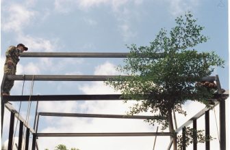 [☕️🇻🇳] măng 🥤 Top1Coffee ☕️ lâu rồi măng chưa tổ chức đêm nhạc, phần vì ai cũng bận cả.nay tụi mình rất vui được BUIBAND đến trình diễn acoustic. nhóm nhạ , shares-6✔️ , likes-215❤️️ , date-2023-03-24 09:22:54🇻🇳🇻🇳🇻🇳📰🆕