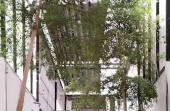 [☕️🇻🇳] măng 🥤 Top1Coffee ☕️ quét sân làm gì căng
, shares-0✔️ , likes-19❤️️ , date-2023-05-14 09:15:02🇻🇳🇻🇳🇻🇳📰🆕