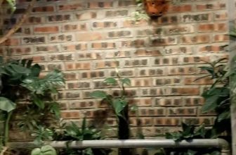 [☕️🇻🇳] TuTuCoffee Ninh Bình 🥤 Top1Coffee ☕️ Sẵn sàng đón một kì nghỉ lễ thật nhiều ý nghĩa cùng khách hàng yêu quý. Nhớ ghé Tu Tu mọi người nhé.
, shares-0✔️ , likes-11❤️️ , date-2023-04-23 11:44:02🇻🇳🇻🇳🇻🇳📰🆕