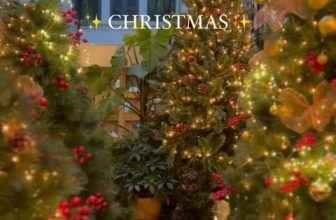 [☕️🇻🇳] Ochata Coffee  🥤 Top1Coffee ☕️ Season’s Greetings Wish you and your family a Merry Xmas and a prosperous New Year 2024
Chúc các bạn và gia đình Giáng sinh vui , shares-1✔️ , likes-5❤️️ , date-2023-12-21 09:05:15🇻🇳🇻🇳🇻🇳📰🆕