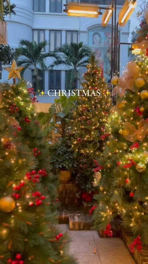 [☕️🇻🇳] Ochata Coffee  🥤 Top1Coffee ☕️ Season’s Greetings Wish you and your family a Merry Xmas and a prosperous New Year 2024
Chúc các bạn và gia đình Giáng sinh vui , shares-1✔️ , likes-5❤️️ , date-2023-12-21 09:05:15🇻🇳🇻🇳🇻🇳📰🆕