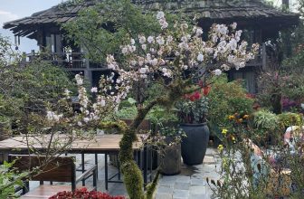 [☕️🇻🇳] La Dao Spa – Coffee House, homestay 🥤 Top1Coffee ☕️ Mùa xuân đã về, những bông hoa đào, hoa mai tươi thắm mang hương sắc mùa xuân trên khắp bản làng. Thung lũng Mường Hoa đắm mình  , shares-0✔️ , likes-23❤️️ , date-2024-02-21 13:41:50🇻🇳🇻🇳🇻🇳📰🆕