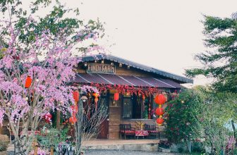 [☕️🇻🇳] Findi Coffee House 🥤 Top1Coffee ☕️ Đón xuân cùng FinDi Farm
, shares-4✔️ , likes-62❤️️ , date-2024-01-01 05:29:40🇻🇳🇻🇳🇻🇳📰🆕