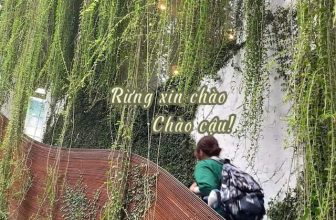 [☕️🇻🇳] ForDeer – Coffee with tree 🥤 Top1Coffee ☕️ “Sống chậm lại, nghĩ khác đi và yêu thương nhiều hơn”
#rung_tru_an
#rung_xin_chao
, shares-0✔️ , likes-0❤️️ , date-2024-01-24 13:00:59🇻🇳🇻🇳🇻🇳📰🆕