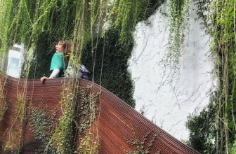 [☕️🇻🇳] ForDeer – Coffee with tree 🥤 Top1Coffee ☕️ Sống chậm lại, nghĩ khác đi và yêu thương nhiều hơnChào cậu, cậu có đang cảm thấy mệt mỏi vì mải chạy theo nhịp chảy hối hả,  , shares-0✔️ , likes-5❤️️ , date-2024-01-23 05:00:10🇻🇳🇻🇳🇻🇳📰🆕