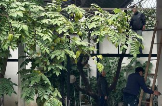 [☕️🇻🇳] La Farine 🥤 Top1Coffee ☕️ 𝐈𝐧 𝐩𝐫𝐨𝐠𝐫𝐞𝐬𝐬…Chắc hẳn gần đây có nhiều bạn thắc mắc chúng mình đang làm gì ở khu đất kia vậy. Thì vào ngày đẹp trời, chủ sốp  , shares-0✔️ , likes-7❤️️ , date-2024-01-24 13:55:51🇻🇳🇻🇳🇻🇳📰🆕