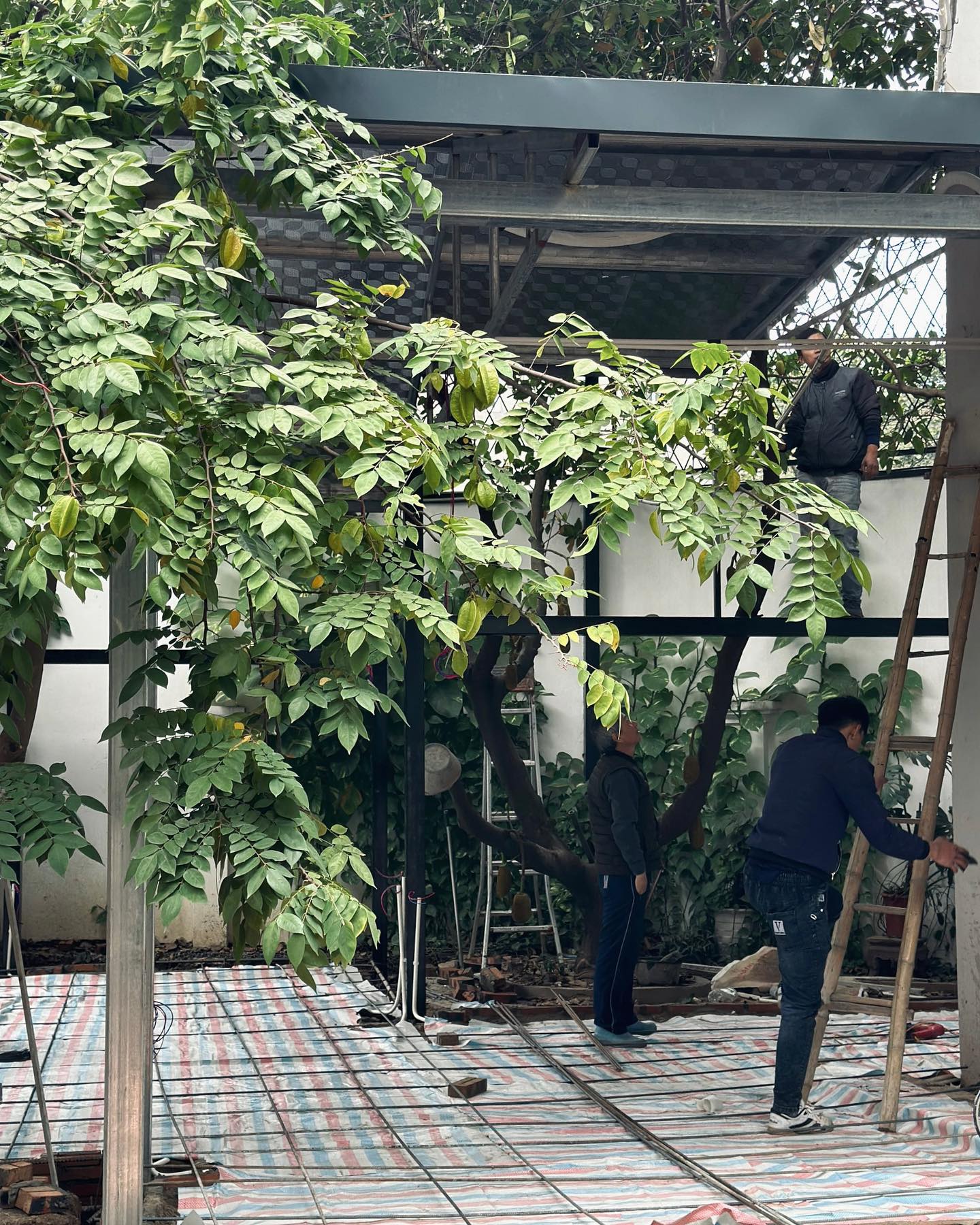 [☕️🇻🇳] La Farine 🥤 Top1Coffee ☕️ 𝐈𝐧 𝐩𝐫𝐨𝐠𝐫𝐞𝐬𝐬…Chắc hẳn gần đây có nhiều bạn thắc mắc chúng mình đang làm gì ở khu đất kia vậy. Thì vào ngày đẹp trời, chủ sốp  , shares-0✔️ , likes-7❤️️ , date-2024-01-24 13:55:51🇻🇳🇻🇳🇻🇳📰🆕