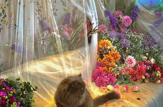 [☕️🇻🇳] Phen’s Coffee 🥤 Top1Coffee ☕️ Ủa em? Phong cảnh hữu tình mà sao mặt qạo dữ? Nhà Phen có phòng hoa chụp hình miễn phí nhé
Xinh!
, shares-0✔️ , likes-5❤️️ , date-2024-01-30 02:53:49🇻🇳🇻🇳🇻🇳📰🆕