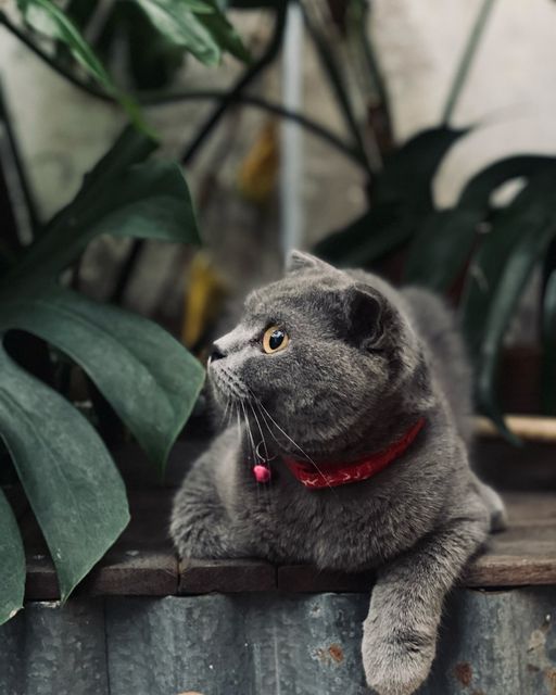 [🆕🇻🇳] Mắm Huế Chính Hiệu RI Nguyễn 🍔 Top1Food 🍜  Mắm Huế Chính Hiệu Ri Nguyễn làm việc hết công suất để kịp giao những đơn hàng cuối năm cho khách kịp nhận trước tết ạ
, shares-0✔️ , likes-30❤️️ , date-2024-02-02 11:25:18🇻🇳🇻🇳🇻🇳📰🆕