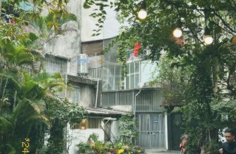 [☕️🇻🇳] Cà Phê Không 🥤 Top1Coffee ☕️ View vườn hoa nhà hàng xóm của Cà Phê Không. Cảm ơn Đảng đã cho ta một mùa Xuân đầy ước vọng
, shares-0✔️ , likes-23❤️️ , date-2024-02-17 10:12:11🇻🇳🇻🇳🇻🇳📰🆕