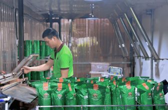 [☕️🇻🇳] Cà phê Đồng Xanh – Greenfields Coffee 🥤 Top1Coffee ☕️ 24 Tháng Chạp,Không khí Tết đã bắt đầu rộn ràng trên từng con phố, chợ hoa cũng đang dần khoe sắc, và ở GFC công việc cũng tấ , shares-0✔️ , likes-41❤️️ , date-2024-02-03 03:29:02🇻🇳🇻🇳🇻🇳📰🆕