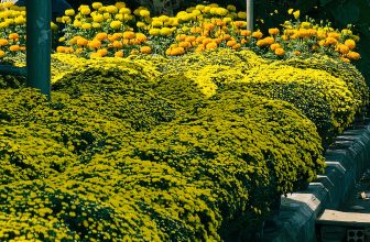 [☕️🇻🇳] 𝐋𝐚 𝐑𝐞̂𝐯𝐞𝐮𝐬𝐞🥤 Top1Coffee ☕️ ” Điểm dừng tiếp theo : Nhà ”
/
SADEC 2024
, shares-33✔️ , likes-304❤️️ , date-2024-02-04 08:08:48🇻🇳🇻🇳🇻🇳📰🆕