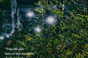 [☕️🇻🇳] 𝐋𝐚 𝐑𝐞̂𝐯𝐞𝐮𝐬𝐞🥤 Top1Coffee ☕️ “Trên thế giới luôn có một ngọn đèn
chờ bạn về nhà.”
/
#mơ #sadec
, shares-1✔️ , likes-90❤️️ , date-2024-02-05 15:41:22🇻🇳🇻🇳🇻🇳📰🆕