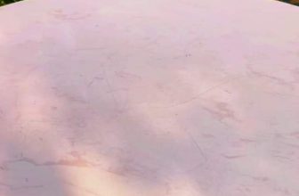 [☕️🇻🇳] DoveZi Coffee 🥤 Top1Coffee ☕️ Mời bạn tách cà phê đầu năm. #dovezi #latte #homie #newyear
, shares-0✔️ , likes-0❤️️ , date-2024-02-20 03:09:36🇻🇳🇻🇳🇻🇳📰🆕