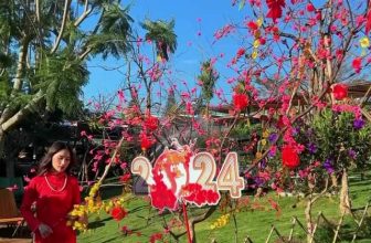 [☕️🇻🇳] Mê Linh Coffee Garden 🥤 Top1Coffee ☕️ Các bạn đã check-in hết các góc decor Tết của nhà 𝐌𝐞̂ 𝐋𝐢𝐧𝐡 chưa???  Nếu chưa thì sắp xếp thời gian đến ngay với chúng mình nhé T , shares-0✔️ , likes-0❤️️ , date-2024-02-19 07:57:49🇻🇳🇻🇳🇻🇳📰🆕