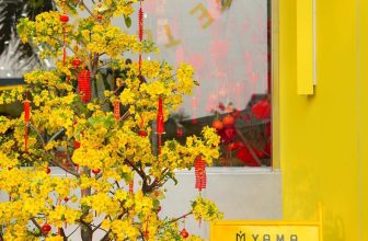 [☕️🇻🇳] YAMA Coffee Tea Dessert – Tây Ninh 🥤 Top1Coffee ☕️ “Tụi nhỏ không biết, thật sự của Tết là bữa ba mươi này. Khi tụi nhỏ mặc bộ đồ mới đi khoe dài dài xóm, khi ba và anh tắm táp xo , shares-3✔️ , likes-491❤️️ , date-2024-02-09 07:37:16🇻🇳🇻🇳🇻🇳📰🆕