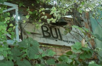 [☕️🇻🇳] BỤI Coffee Chill – Plants 🥤 Top1Coffee ☕️  Chỉ còn vài tiếng nữa thôi là chúng mình chính thức bước sang năm Giáp Thìn. Những ngày cuối năm này chúng mình đã chăm chỉ làm , shares-0✔️ , likes-6❤️️ , date-2024-02-09 15:38:15🇻🇳🇻🇳🇻🇳📰🆕