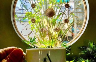 [☕️🇻🇳] The Ayatt Coffee  🥤 Top1Coffee ☕️  𝐂𝐇ÀO XUÂU GIÁP THÌNH 2024Ayatt luôn cảm ơn Quý khách hàng luôn quan tâm và ủng hộ trong một năm qua.! Kính chúc quý khách hà , shares-0✔️ , likes-18❤️️ , date-2024-02-13 04:57:55🇻🇳🇻🇳🇻🇳📰🆕