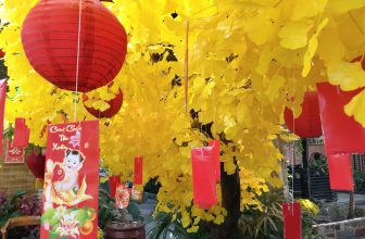 [☕️🇻🇳] Cà phê Ngọc Hà- Cafe sân vườn 🥤 Top1Coffee ☕️ Tây Ninh, Tết này đi đâu ?
Một quán Cà phê Sân Vườn mang phong cách trẻ trung hiện đại.
Không gian thoáng mát.
Có View Tết cự , shares-0✔️ , likes-17❤️️ , date-2024-02-12 00:49:51🇻🇳🇻🇳🇻🇳📰🆕