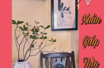 [☕️🇻🇳] NAM house 🥤 Top1Coffee ☕️ Nhân dịp Tết đến Xuân về
Mừng Xuân Giáp Thìn đầy tươi mới
Nam xin kính chúc bà con, cô bác và các bạn một Năm Mới luôn tràn đầ , shares-0✔️ , likes-15❤️️ , date-2024-02-12 06:51:24🇻🇳🇻🇳🇻🇳📰🆕