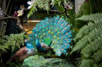 [☕️🇻🇳] MOJO Boutique Coffee 🥤 Top1Coffee ☕️ CÂU CHUYỆN VỀ KHU VƯỜN ĐỊA ĐÀNG CỦA LOÀI KHỔNG TƯỚCẨn mình trong lòng Rey Hotel, MOJO chính là một ‘viên ngọc xanh’ tráng lệ, , shares-0✔️ , likes-2❤️️ , date-2024-02-27 03:03:31🇻🇳🇻🇳🇻🇳📰🆕