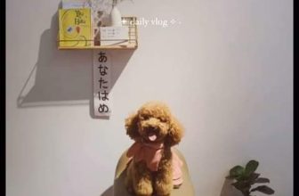 [☕️🇻🇳] Hạ An Corner – Trà – Bánh – Cafe – Piano 🥤 Top1Coffee ☕️ Ngôi nhà mộng mơ
, shares-0✔️ , likes-0❤️️ , date-2024-02-25 04:02:13🇻🇳🇻🇳🇻🇳📰🆕