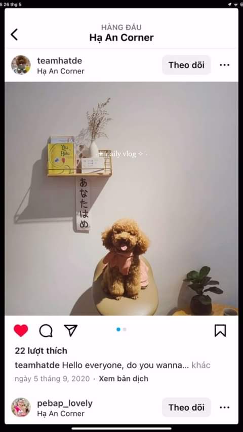 [🛍️🇻🇳] Shopee Việt Nam 🛍️ Top1Shop ❤️️ – 📢 MINIGAME ️🛒 ️ĐUA TƯƠNG TÁC ĐỈNH, RINH VOUCHER XỊN 🎉👉Săn sale ngay t …