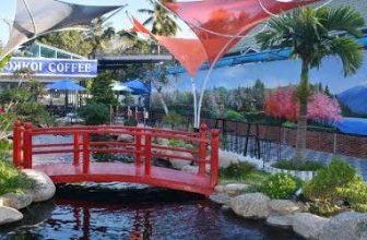 [☕️🇻🇳] Iokkoi Coffee – Zen Garden 🥤 Top1Coffee ☕️ Top 4 Quán cà phê sân vườn đẹp nhất Bến Tre , shares-3✔️ , likes-892❤️️ , date-2020-07-12 05:49:36🇻🇳🇻🇳🇻🇳📰🆕