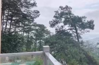 [☕️🇻🇳] Coffee Bùi Văn Ngọ – Đà Lạt 🥤 Top1Coffee ☕️ Đà Lạt nắng cũng đẹp, mưa cũng đẹp, mà không nắng không mưa cũng đẹp là sao nhỉ.
P/s: View nhìn từ Bùi Văn Ngọ Coffee Đà Lạt.
, shares-0✔️ , likes-7❤️️ , date-2020-07-28 07:31:39🇻🇳🇻🇳🇻🇳📰🆕