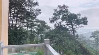 [☕️🇻🇳] Ngầu Coffee – 36 Lê Lợi, Vinh 🥤 Top1Coffee ☕️ [Ngầu coffee ] TUYỂN DỤNG NHÂN VIÊN PHỤC VỤNhầm mục đích phục vụ khách hàng nhiệt tình nhấtSố lượng: 03 ngu , shares-7✔️ , likes-57❤️️ , date-2020-07-28 12:02:25🇻🇳🇻🇳🇻🇳📰🆕