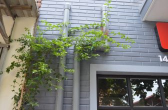 [☕️🇻🇳] TuTuCoffee Ninh Bình 🥤 Top1Coffee ☕️ Chúc cả nhà buổi sáng vui vẻ!
, shares-1✔️ , likes-30❤️️ , date-2015-07-17 00:35:32🇻🇳🇻🇳🇻🇳📰🆕