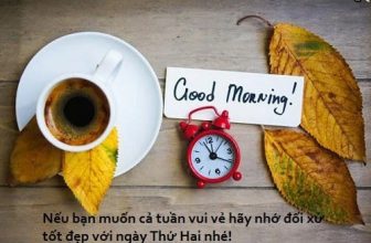 [☕️🇻🇳] Cà phê Ngọc Hà- Cafe sân vườn 🥤 Top1Coffee ☕️ Chúc tất cả mọi người, ngày mới tuần mới nhiều may mắn hạnh phúc
, shares-0✔️ , likes-3❤️️ , date-2020-10-19 01:45:01🇻🇳🇻🇳🇻🇳📰🆕