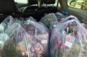 [☕️🇻🇳] Coffee Bùi Văn Ngọ – Đà Lạt 🥤 Top1Coffee ☕️ Trong mùa Covid, Đà Lạt như một cô Công chúa đẹp ngủ vùi chờ Hoàng tử đến đánh thức. Bùi Văn Ngọ Coffee sẽ luôn góp phần tô điểm , shares-0✔️ , likes-13❤️️ , date-2020-11-25 11:49:19🇻🇳🇻🇳🇻🇳📰🆕