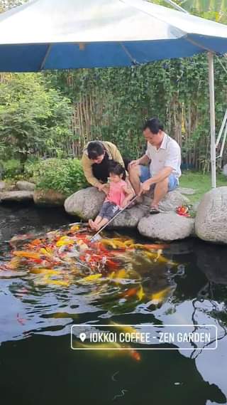 [☕️🇻🇳] CoCo’s Coffee 🥤 Top1Coffee ☕️ Thêm một buổi sáng trong nhiều buổi sáng khác, vậy hôm nay mình thử vị khác ngoài cà phê xem sao …
—————————
#cocoscoffee
5 , shares-0✔️ , likes-13❤️️ , date-2021-02-23 01:28:30🇻🇳🇻🇳🇻🇳📰🆕