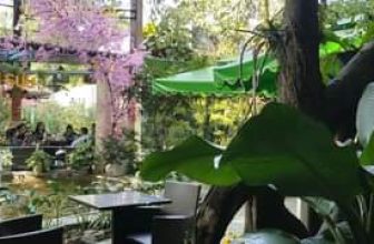 [☕️🇻🇳] Cà phê Ngọc Hà- Cafe sân vườn 🥤 Top1Coffee ☕️ Cafe sân vườn NGỌC HÀ buổi trưa mát mẽ
Tại 271 Phạm Văn Đồng ấp hiệp hoà xã hiệp tân hoà thành tây ninh
, shares-0✔️ , likes-11❤️️ , date-2021-02-21 06:42:24🇻🇳🇻🇳🇻🇳📰🆕