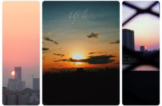 [☕️🇻🇳] Up Vietnam Cafe 🥤 Top1Coffee ☕️ Vẫn còn nhớ ngày mà tớ chỉ là một “hạt mầm” bé nhỏ vậy mà hôm nay tớ đã được 17 tháng tuổi rồi. Trong 17 tháng đó, tớ đã trải qu , shares-1✔️ , likes-48❤️️ , date-2020-12-31 11:48:59🇻🇳🇻🇳🇻🇳📰🆕