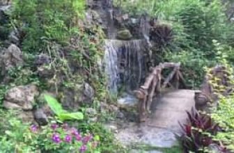 [☕️🇻🇳] CoCo’s Coffee 🥤 Top1Coffee ☕️  , shares-0✔️ , likes-2❤️️ , date-2021-04-04 03:55:57🇻🇳🇻🇳🇻🇳📰🆕