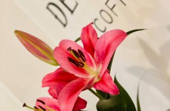 [☕️🇻🇳] ĐEN ROASTER Coffee – Tea 🥤 Top1Coffee ☕️ Chào mừng ngày giải phóng phu huynh Thủ đô, chào mừng Hà Nội cho mở lại quán Cafe trong nhà
Kính mời anh chị cô dì chú bác gần  , shares-0✔️ , likes-4❤️️ , date-2021-03-02 01:45:57🇻🇳🇻🇳🇻🇳📰🆕