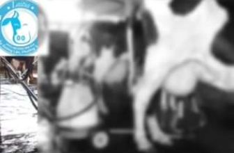 [☕️🇻🇳] COCha Milktea – coffee – Cửa hàng bán món tráng miệng · Quán cà phê · Nhà hàng 🥤 Top1Coffee ☕️  , shares-0✔️ , likes-1❤️️ , date-2021-05-12 05:28:45🇻🇳🇻🇳🇻🇳📰🆕