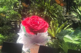 [☕️🇻🇳] Cà phê Ngọc Hà- Cafe sân vườn 🥤 Top1Coffee ☕️ Cafe SỮA DỨA
Thơm  đến giọt cuối cùng
, shares-0✔️ , likes-8❤️️ , date-2021-03-07 10:02:47🇻🇳🇻🇳🇻🇳📰🆕