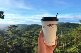 [☕️🇻🇳] Coffee Bùi Văn Ngọ – Đà Lạt 🥤 Top1Coffee ☕️ Một góc view Đà Lạt. Đồi thông ngút ngàn chạy xa tít. Đôi khi lại có những đám mây luồng vào tuèng rạng thông như những cơn gió  , shares-2✔️ , likes-11❤️️ , date-2021-03-11 01:51:28🇻🇳🇻🇳🇻🇳📰🆕