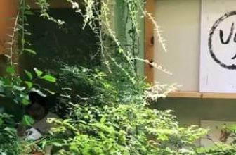 [☕️🇻🇳] 15.22 café – wine – live music 🥤 Top1Coffee ☕️ 𝘖̛̉ 𝘨𝘪𝘶̛̃𝘢 𝘯𝘩𝘶̛̃𝘯𝘨 𝘬𝘩𝘰̂́𝘪 𝘤𝘩𝘢̂́𝘵 𝘤𝘩𝘰̂̀𝘯𝘨 𝘤𝘶̉𝘢 𝘷𝘢̣̂𝘵 𝘤𝘩𝘢̂́𝘵, 𝘵𝘢 𝘤𝘢̂̀𝘯 𝘭𝘢̆́𝘮 𝘬𝘩𝘰𝘢̉𝘯𝘨 𝘵𝘳𝘰̂́𝘯𝘨 𝘵𝘢̂𝘮 𝘢𝘯 𝘺𝘦̂𝘯 đ𝘦̂̉ 𝘩𝘢̣𝘵 𝘨𝘪𝘰̂́𝘯𝘨 𝘤𝘶̉𝘢 𝘩 , shares-0✔️ , likes-98❤️️ , date-2021-04-19 02:30:52🇻🇳🇻🇳🇻🇳📰🆕