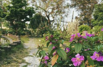 [☕️🇻🇳] CoCo’s Coffee 🥤 Top1Coffee ☕️ Cho tôi gom chút nắng vàng …
—————————
#cocoscoffee
57 Nguyễn Hữu Cảnh – Đồng Hới – Quảng Bình
#coffeeshop #coffeetime #nic , shares-0✔️ , likes-10❤️️ , date-2021-04-07 02:31:37🇻🇳🇻🇳🇻🇳📰🆕